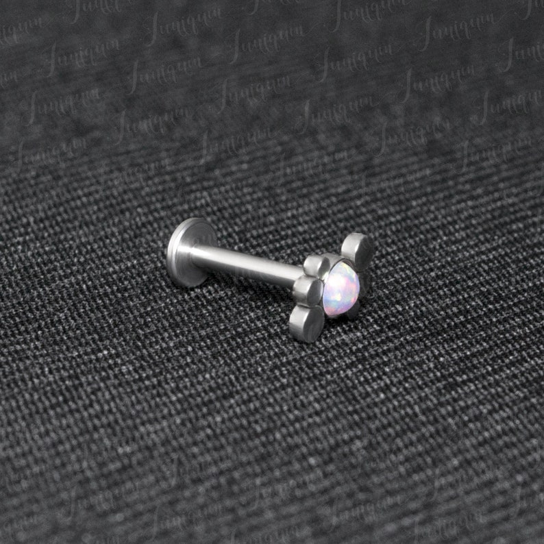 Surgical steel cartilage stud earring. Flat back helix Etsy