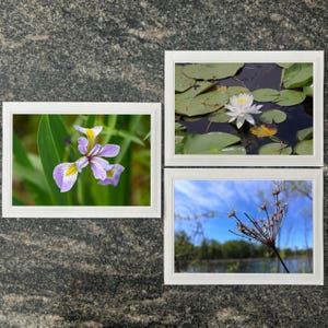 Cartes de voeux faites main avec fleurs printanières, intérieur vierge, cartes photo botaniques avec enveloppes