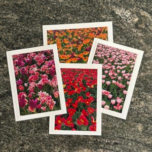 Tulip Floral Greeting Card Pack, Handmade Photo Cards, Envelopes, Blank Inside, Botanical Stationery Set