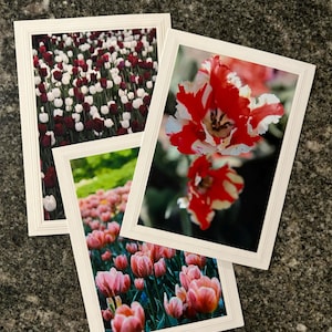 Handmade Floral Greeting Cards Set, Blank Cards with Envelopes, Botanical Stationery, Flower Note Cards
