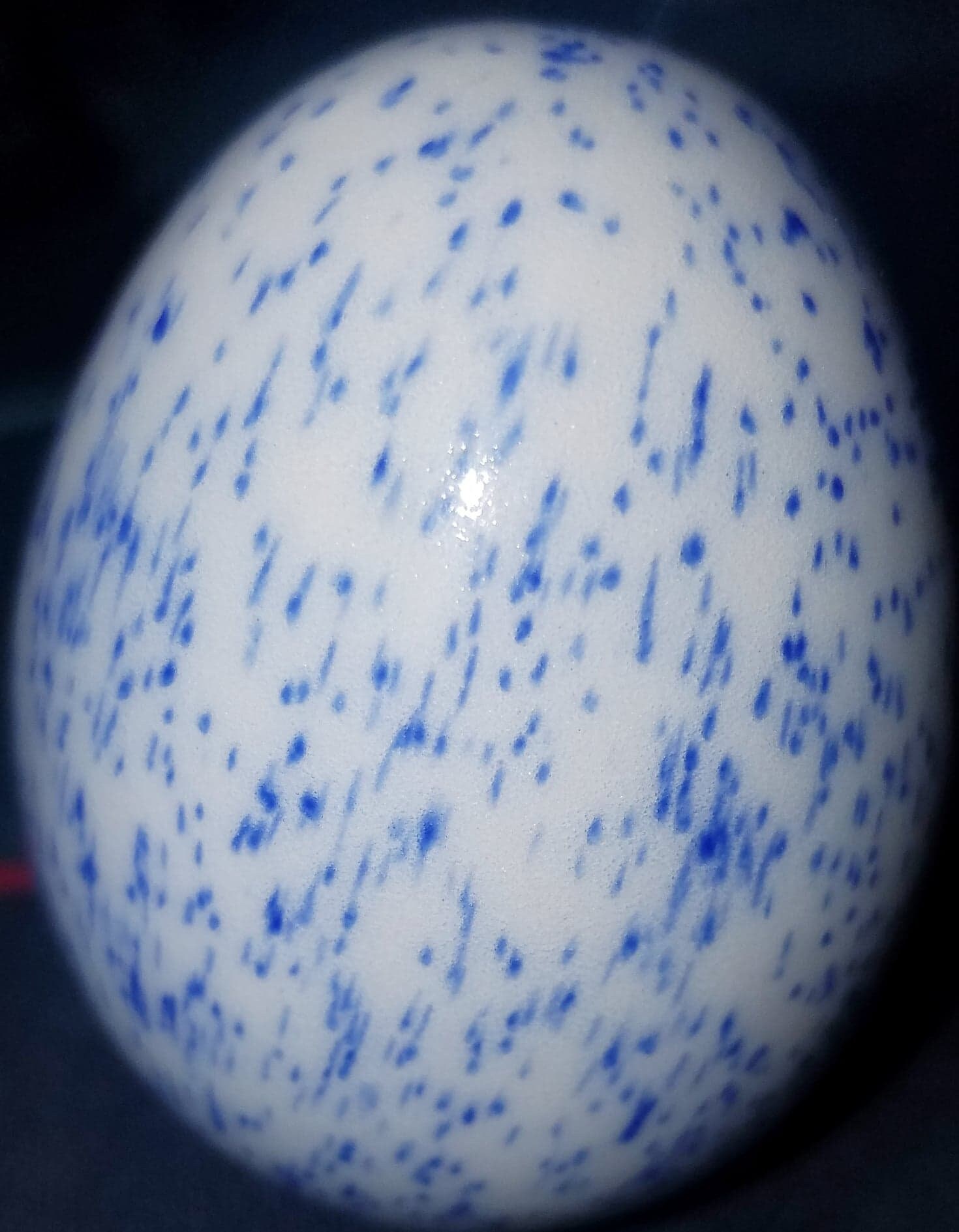 Vintage Ceramic Egg White Blue Specks Etsy