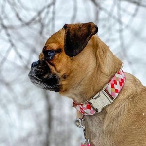 Metallic Gold Valentine Diamonds Dog Collar - red, pink, geometric, valentines day collar, female