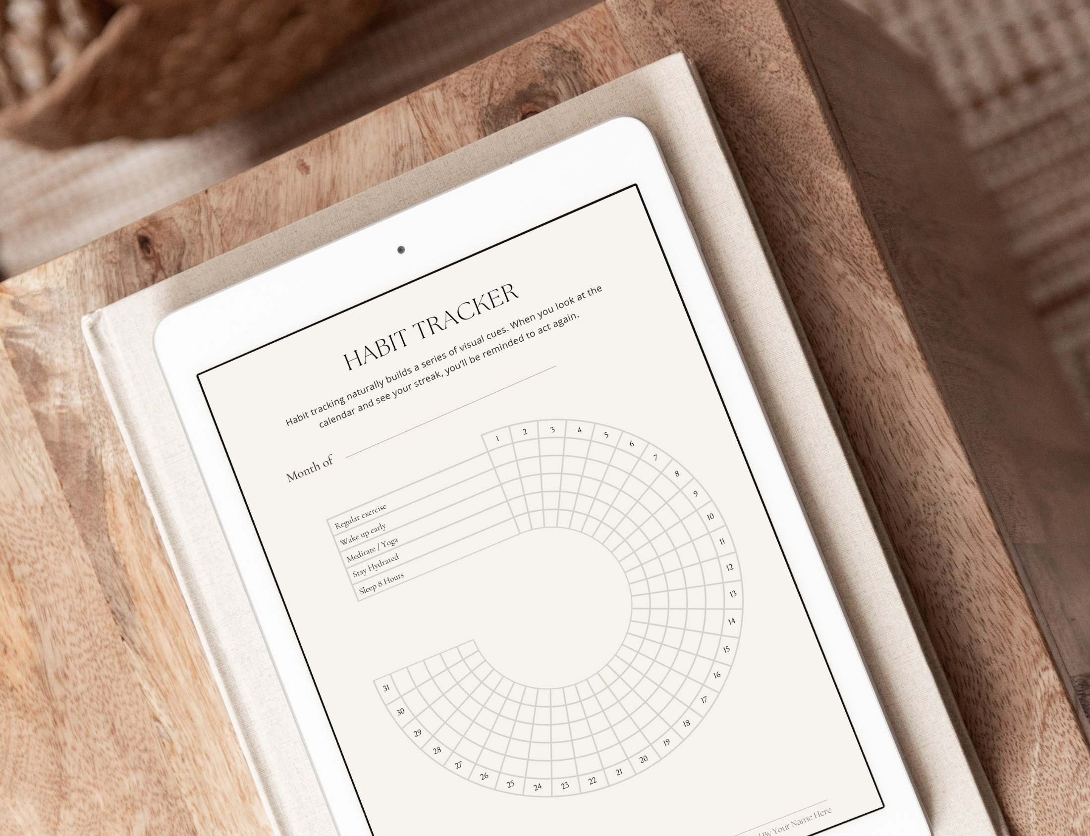 Coaching Lead Magnet Template Canva, Business Coach Canva Bundle ...