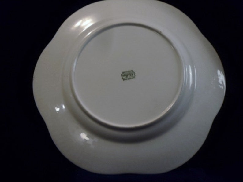 Vintage Shelley FREE SHIPPING Never Used Fruit Motif