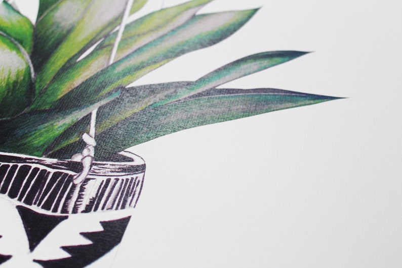 Op de afbeelding: Een close-up van een groene plant met lange, smalle bladeren die hangt in een zwart-wit gestreepte pot. De plant hangt aan een touw.