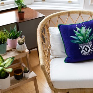 Op de afbeelding: Een rieten stoel met een wit kussen en een blauw kussen met een groene plant in een wit-zwarte gebloemde pot. Het kussen heeft een groene rand. De stoel staat in een kamer met planten en een houten tafel.