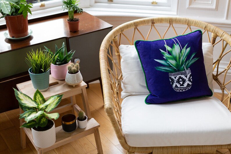 Op de afbeelding: Een rieten stoel met een wit kussen en een blauw kussen met een groene plant in een wit-zwarte gebloemde pot. Het kussen heeft een groene rand. De stoel staat in een kamer met planten en een houten tafel.