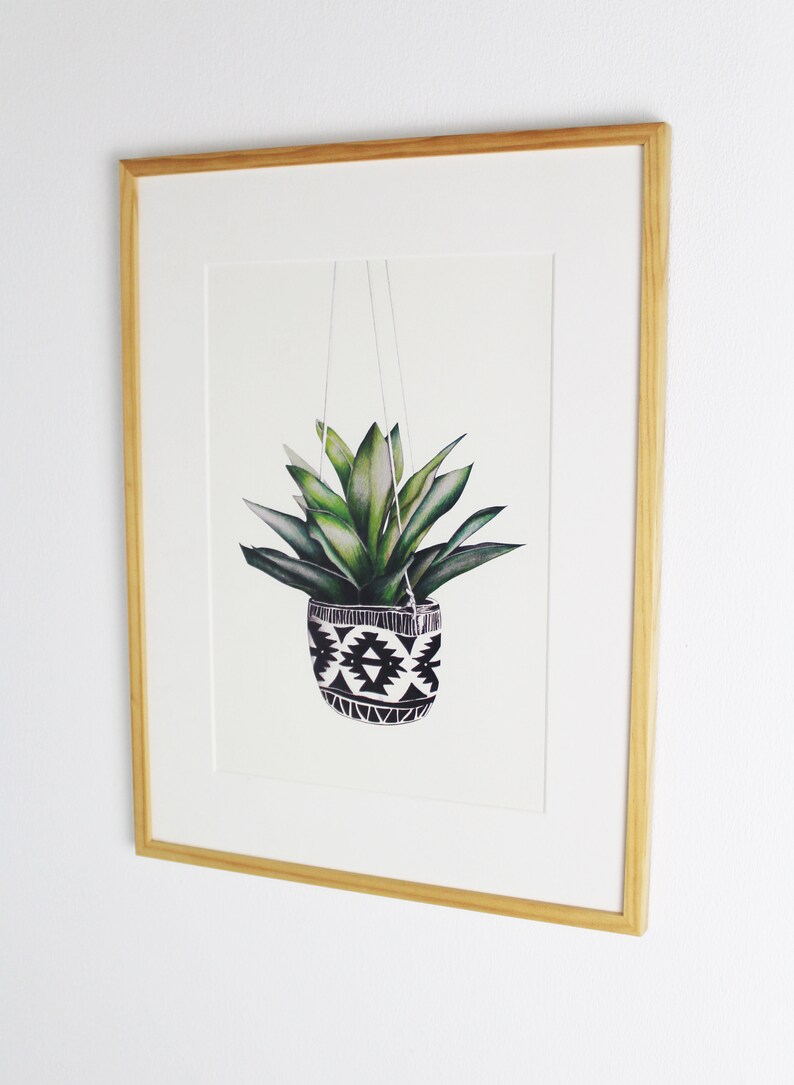 Op de afbeelding: Een ingelijste print van een aquarelillustratie van een groene plant in een zwarte en witte gepatroneerde hangende pot.