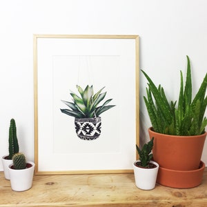 Op de afbeelding: Een ingelijste print van een groene succulent in een zwarte en witte gepatroneerde hangende plantenpot. De print staat op een houten plank met twee andere potplanten.