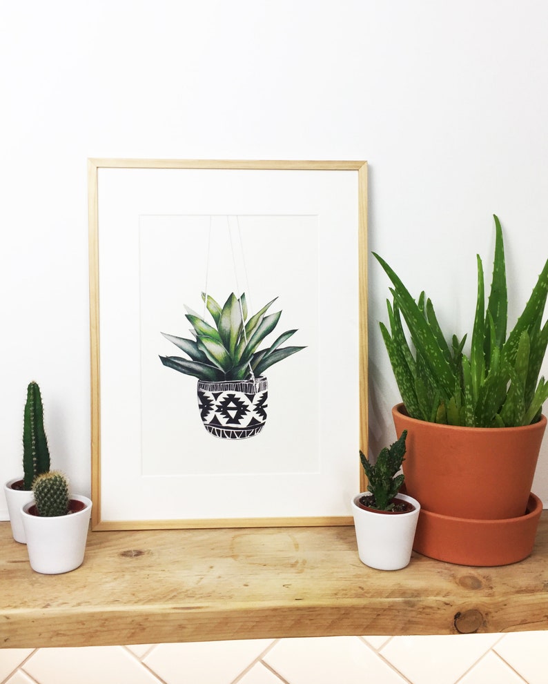 Op de afbeelding: Een ingelijste print van een groene succulent in een zwarte en witte gepatroneerde hangende plantenpot. De print staat op een houten plank met twee andere potplanten.