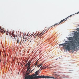 Luxuriously Designed Urban Fox Print - Hand-Illustrated & Digitally Printed in the UK bild 4