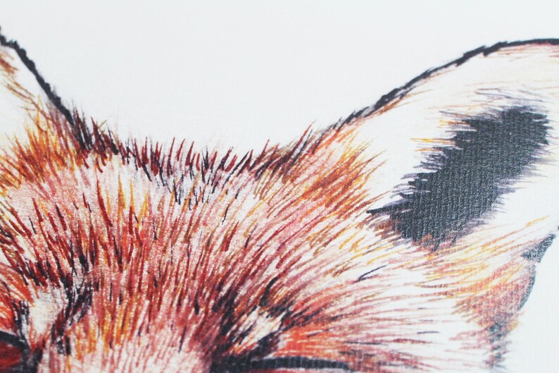 Luxuriously Designed Urban Fox Print - Hand-Illustrated & Digitally Printed in the UK bild 4