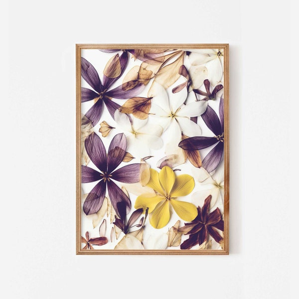 Fleurs de frangipanier séchées illustrations botaniques, art de fleurs pressées, art mural floral abstrait jaune violet, fleurs de Plumeria imprimer imprimable