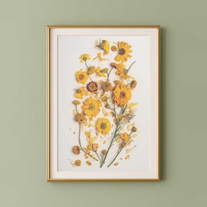 Ringelblumen getrocknete botanische Kunst, druckbare Wildblumen Poster, senfgelber Blumendruck, gepresste Blumen Kunst, Naturdekor