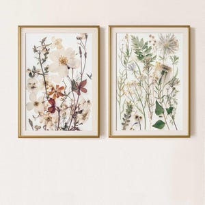 Fresh botanical prints set of two, Jasmine and herbs pressed flowers art, Modern organic nature artwork, Printable wildflowers wall art