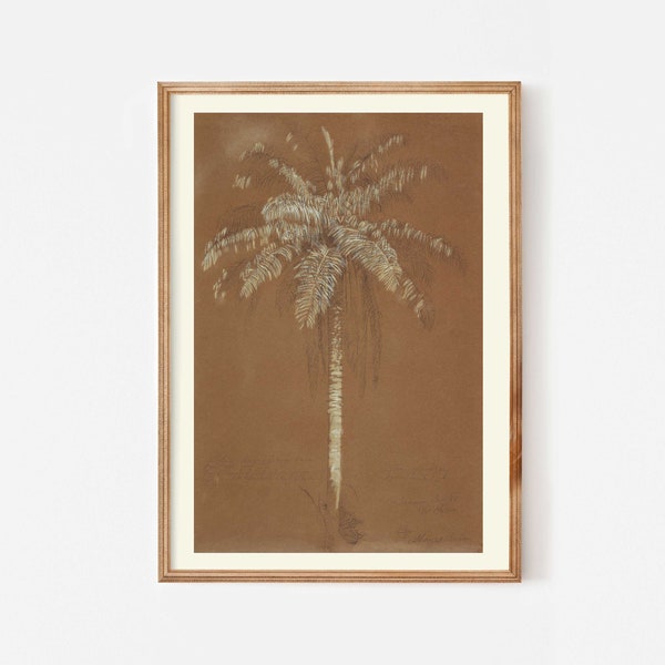 Vintage palm tree illustration, Printable antique botanical art, Tropical theme brown cream bedroom prints, Neutral boho decor sepia tones