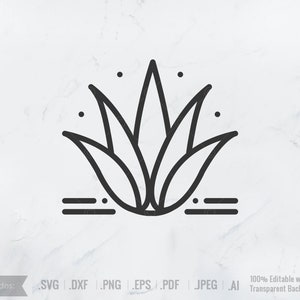 May include: A black and white line art illustration of an agave plant with two horizontal lines underneath. The plant has five leaves that are pointed at the top.