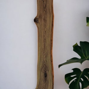 LED wall light made of rustic oak wood with tree edge, unique natural dimmable forest edge image 10