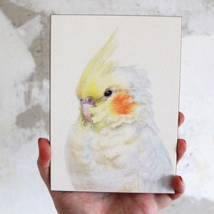 Handpainted cockatiel painting watercolor, watercolor painting of a bird, handmade cockatiel painting, cockatiel art