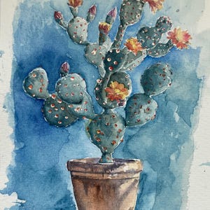 Cactus