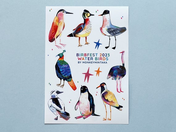 Bird sticker sheet - great stickers from various birds