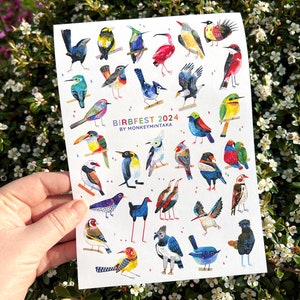 Feuille d'autocollants A5 Birbfest 2024 | Stickers oiseaux dessinés à la main | Stickers nature pour carnets, agendas et stylos