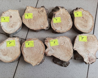 Big slices,poplar wood,burl spalted wood (300x190x30mm) Wood Slices,woodworking lumber,Wood slices for crafts wood slice ornaments (N1)