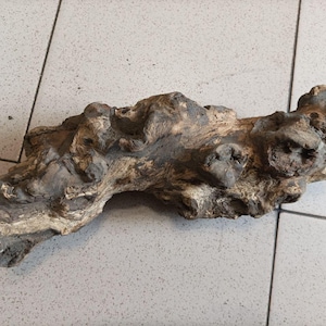 Natural Tree Root Burl Wood – Unique Organic Sculpture, Raw Driftwood for Craft, Aquarium, Terrarium, Rustic Decor (390x110x100mm)