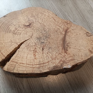 Big slices,beech tree,spalted wood (240x170x50mm) Wood Slices,woodworking lumber,Wood slices for crafts wood slice ornaments (#8)