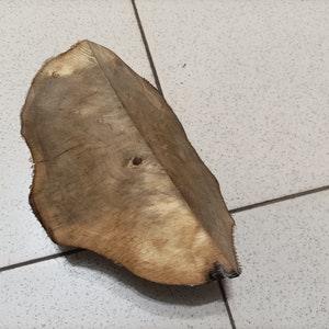 Big hornbeam burl (210x100x90mm) wood Burl Block,Woodworking Lumber, knife block, knife scale #5