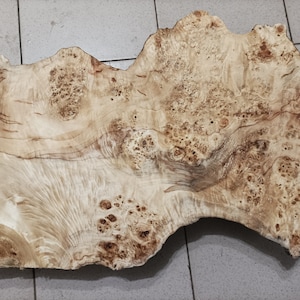 Big Poplar burl wood Burl Block,Woodworking Lumber,guitar body (660x380x120mm) T-126