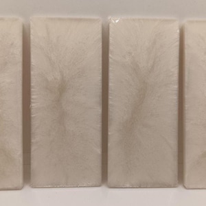 May include: Four rectangular, off-white resin blocks with a textured, feathery pattern. The blocks are arranged side by side, showcasing a consistent design. The resin has a glossy finish, enhancing the visual appeal of the decorative pieces.