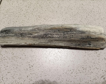 Petrified Wood Fossil | Natural Mineral Specimen | Unique Collectible | Healing Crystal | Rustic Home Decor
