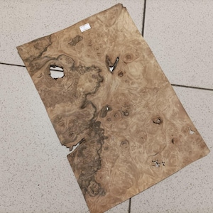 Blätter aus amerikanischem Wurzelnussfurnier (Größe: 360 mm x 230 mm x 0,6 mm) N1
