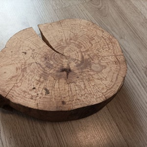Rodajas grandes de madera de haya (190 x 160 x 60 mm), madera para trabajar la madera, rodajas de madera para manualidades, adornos de rodajas de madera (n.º 11)