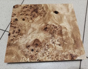 Großer Pappelmaserblock, Holzbearbeitungsholz, Gitarrenkorpus (263 x 242 x 29 mm) TK-37