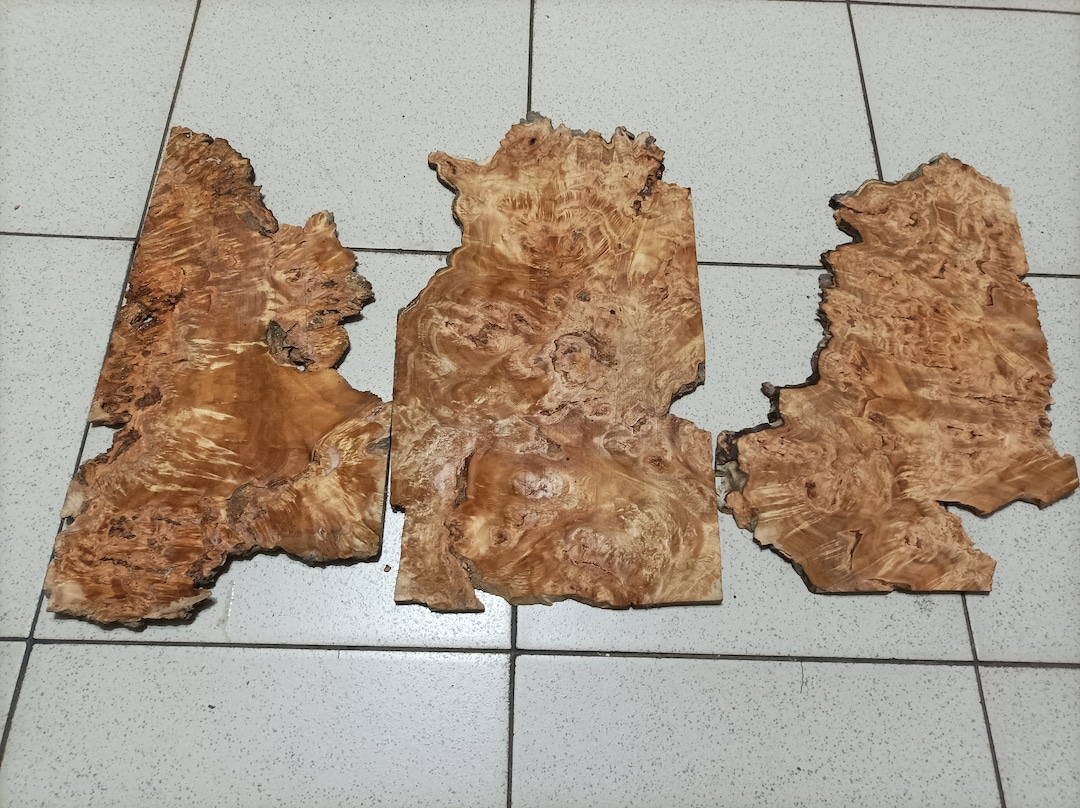 3pcs Lot Big Poplar Burl Wood Burl Blockwoodworking Etsy