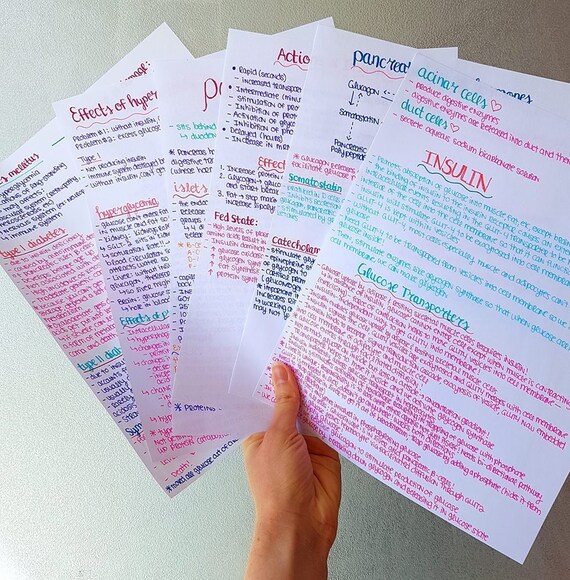 Diabetes Study Note Guide Endocrinology Diabetes Study Set Etsy