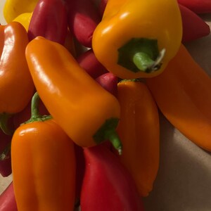 Super sweet Snack pepper seed mix