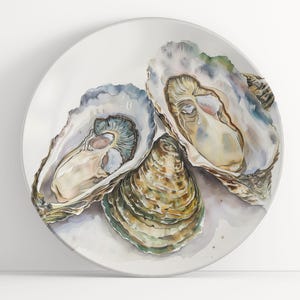 May include: Three oysters on a white plate. The oysters are open and show their pearly interiors. The shells are a mix of white, brown, and green.