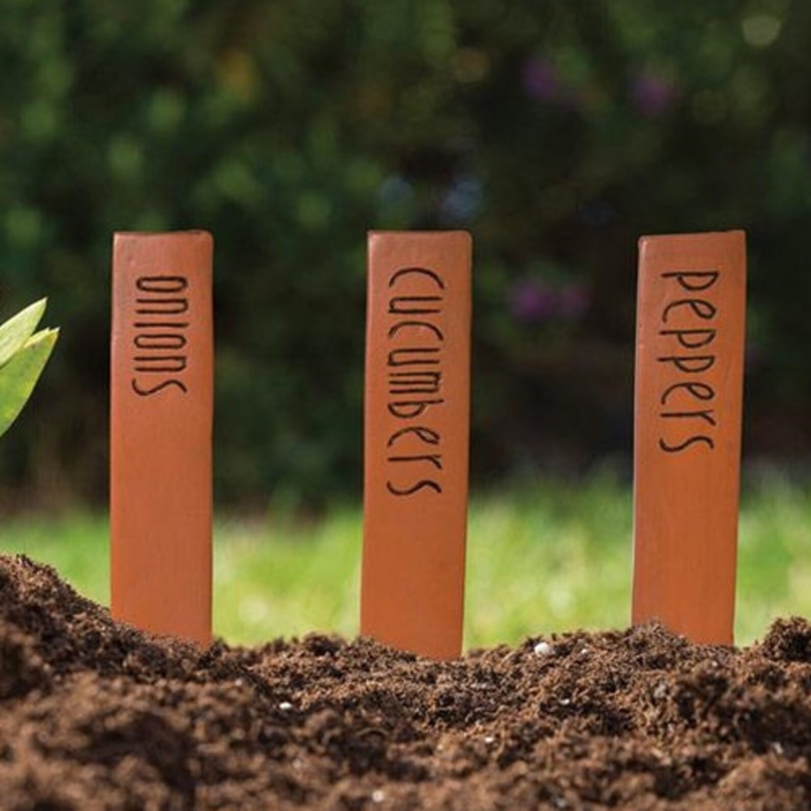 Herb Garden Stakes Garden Plant Marker Stakes Etsy