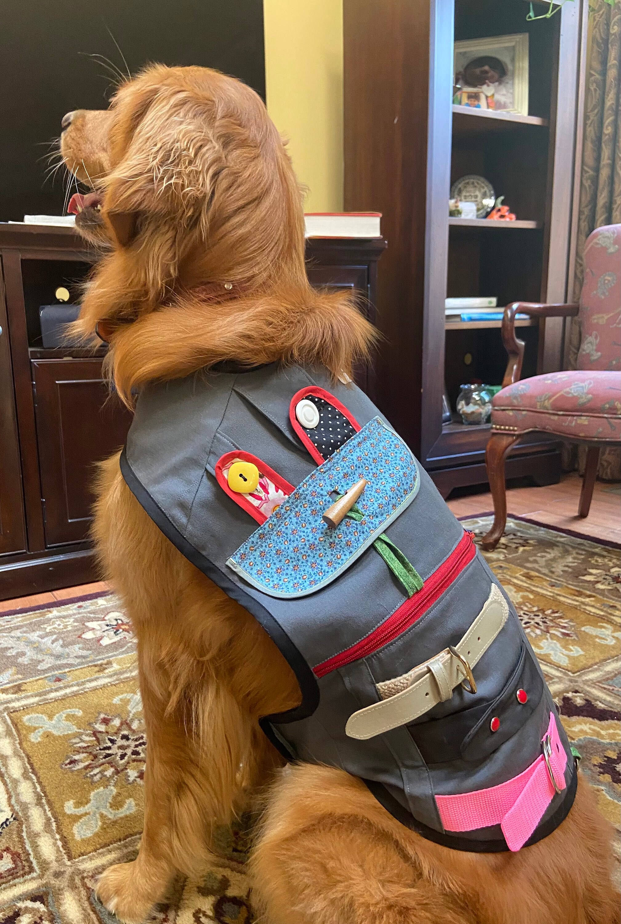 Not for Sale - DISPLAY ONLY- Made to Order - Dog Vest...