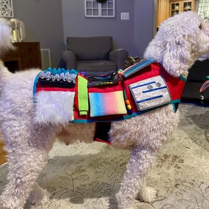 May include: A white dog wearing a colorful sensory vest with various textures and patterns. The vest has a red base with blue, green, and rainbow patches. The dog is standing on a light brown rug.