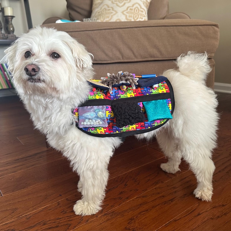 Autism Vest Etsy autism-vest-etsy
