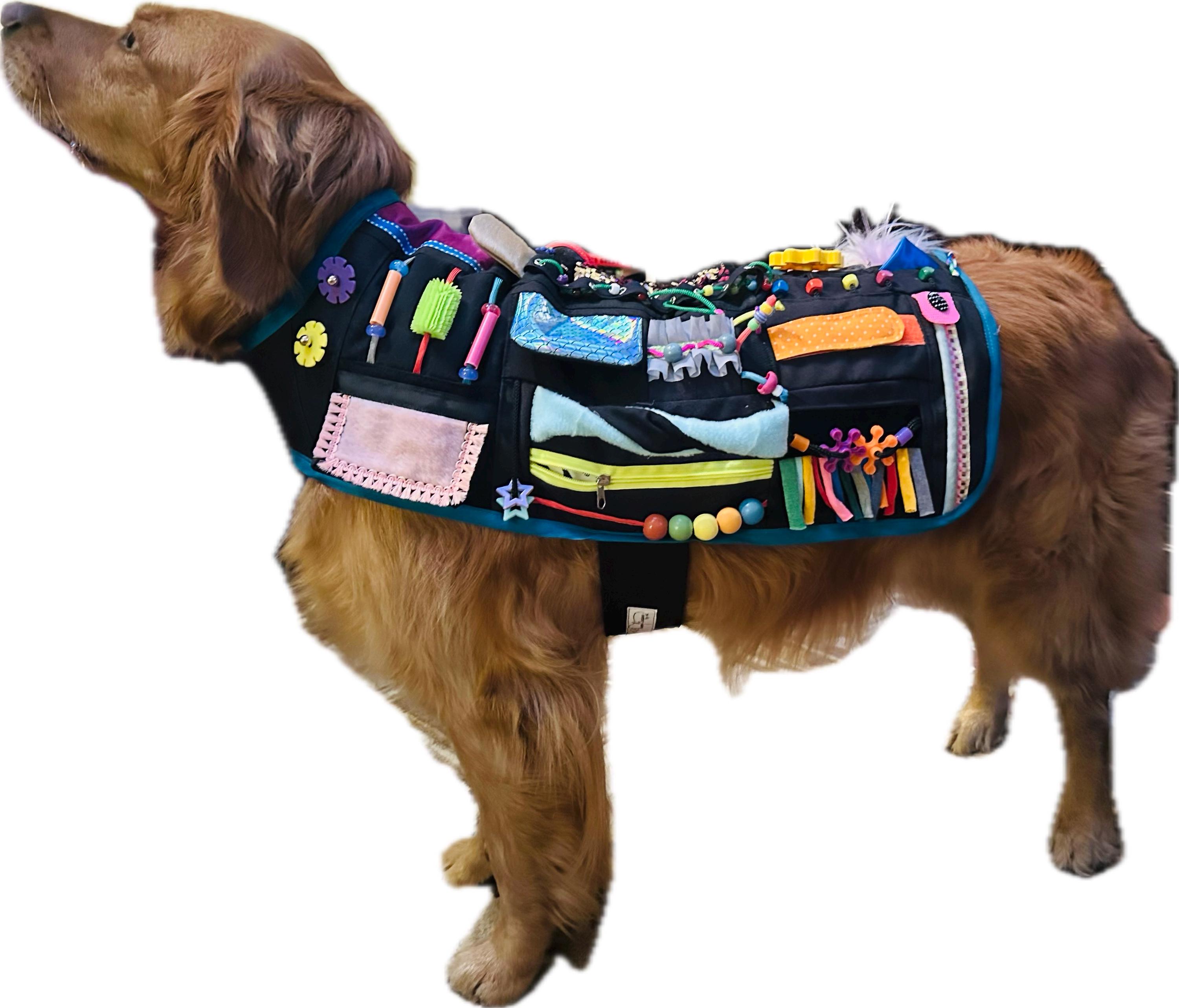 Autism Service Dog Vest Etsy