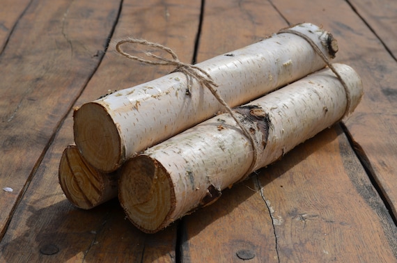 DIY Birch Logs - Make Your Own Birch Logs - Winter Decor 