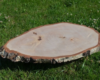 Large wedding cake stand birch tree slice 29" Large Birch Wood Slice, Rustic Wedding Decor, rustic wood slice wood log slab cake