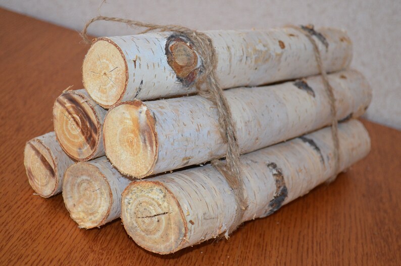 White Birch Logs 6 White Birch Logs Rustic Craft Supply Etsy