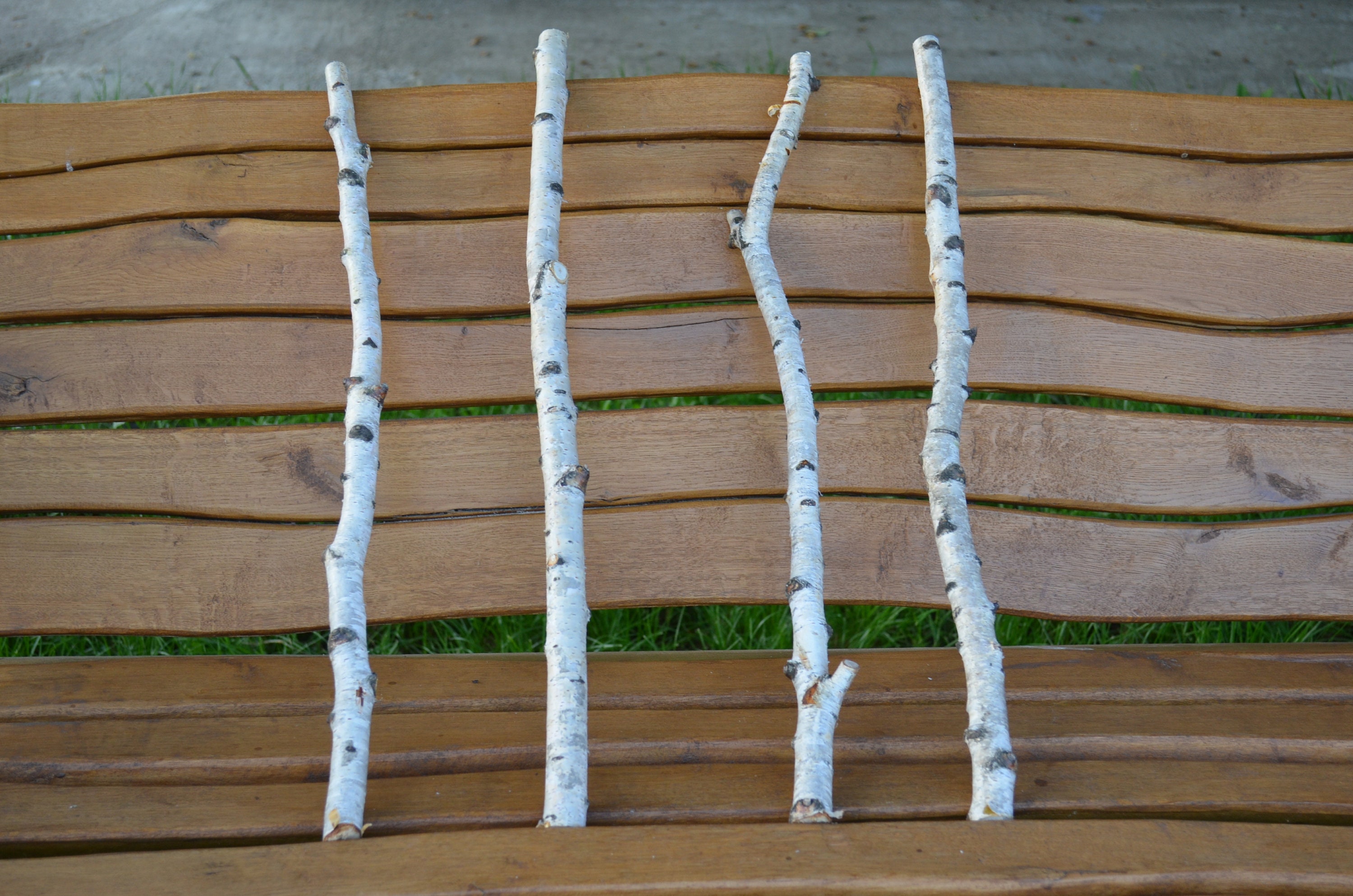 Set 4 Birch Branches 25 Large White Natural Birch Logs Etsy