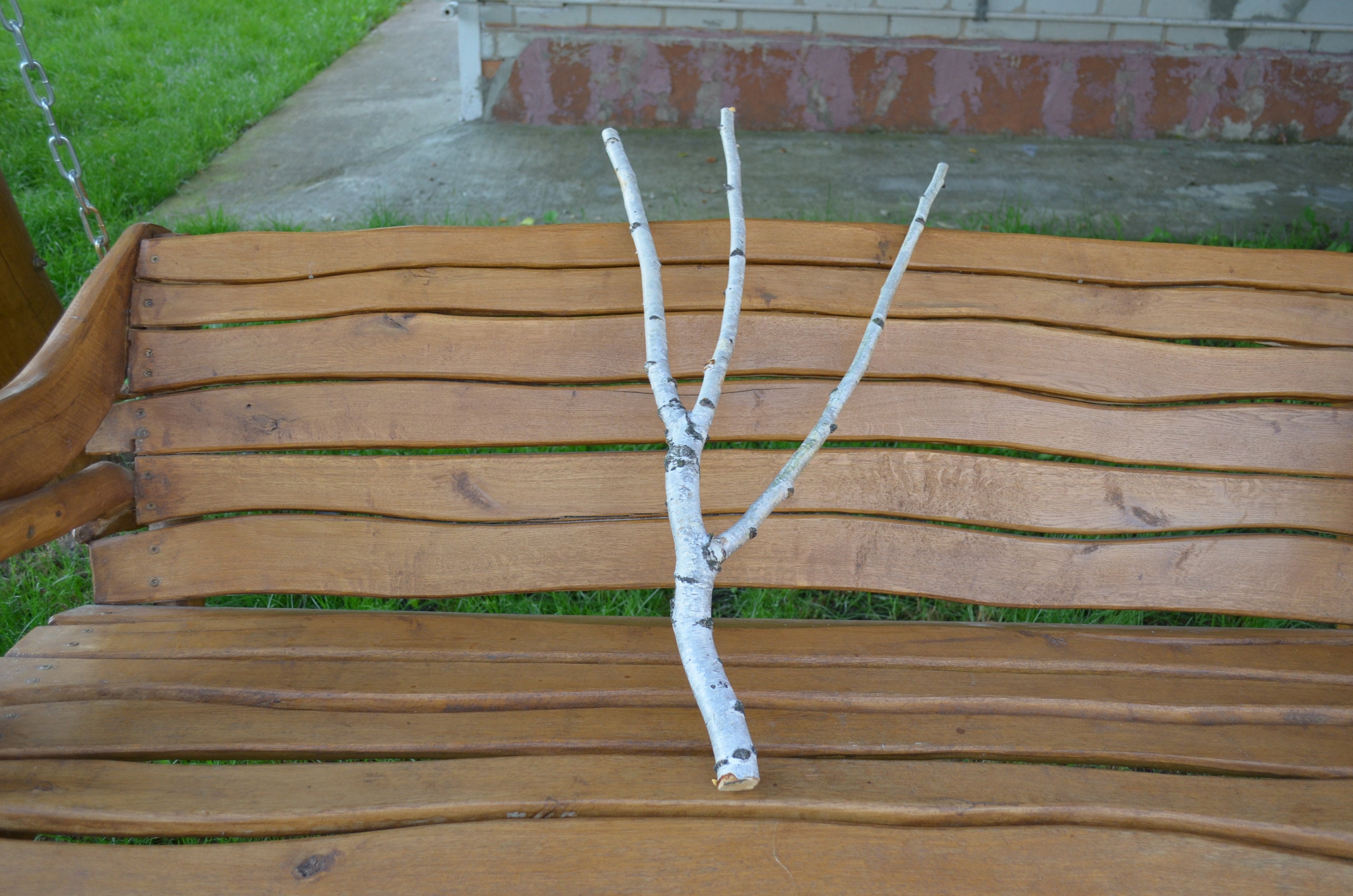 White Birch Branches Birch Branches Branched White Birch Etsy